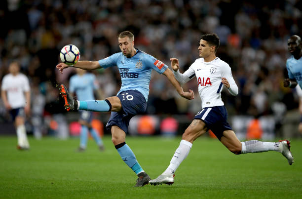 定性作用 定性作用