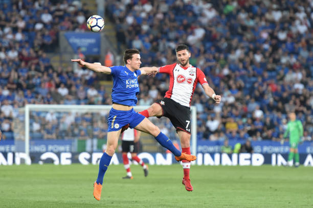 特的观赏性 特的观赏性