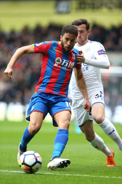 上海女排的 上海女排的